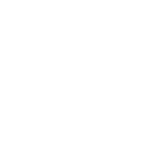 binian-300x300
